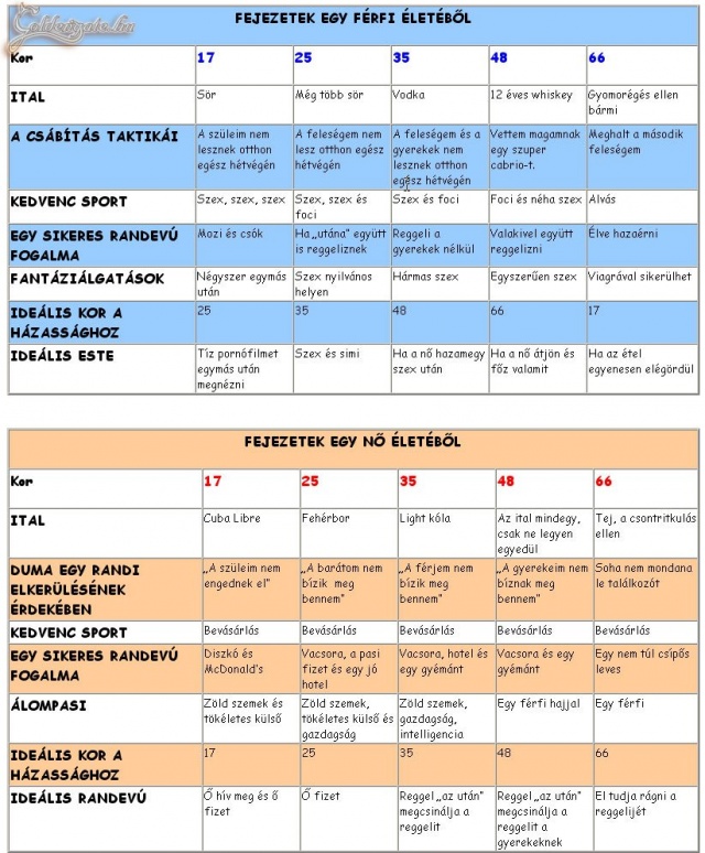 Fejezetek egy nő és egy férfi életéből