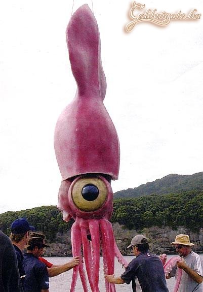 Ebből kikerül jónéhány panírozott tintahal karika..