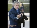 Bush nem akarja visszaadni jeromost