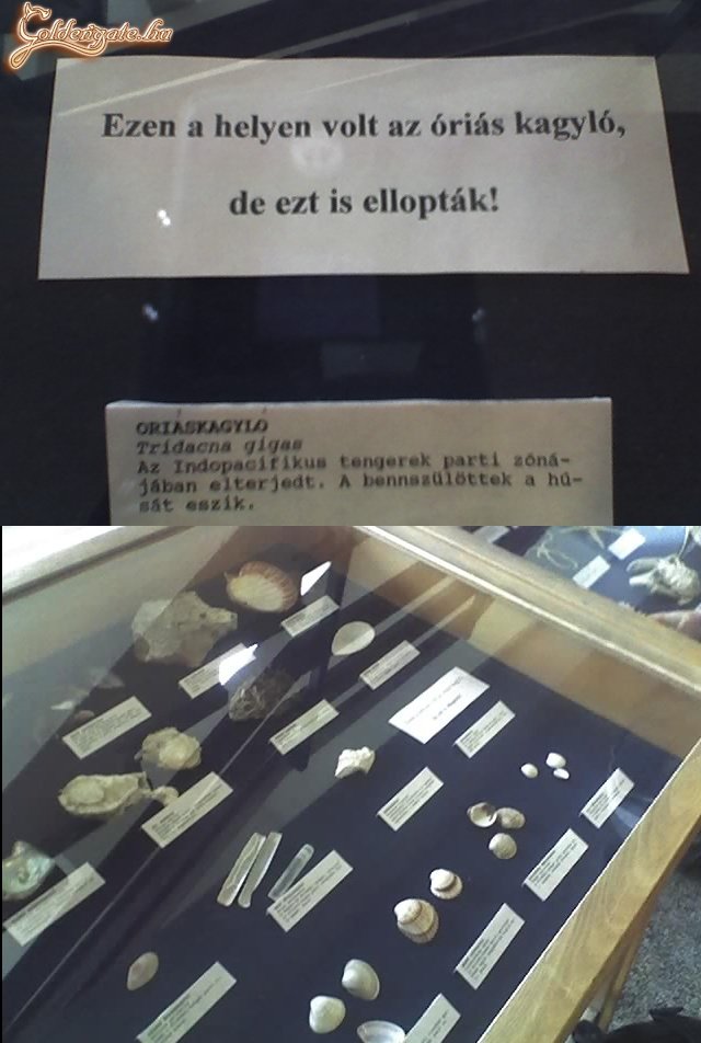 Óriáskagyló