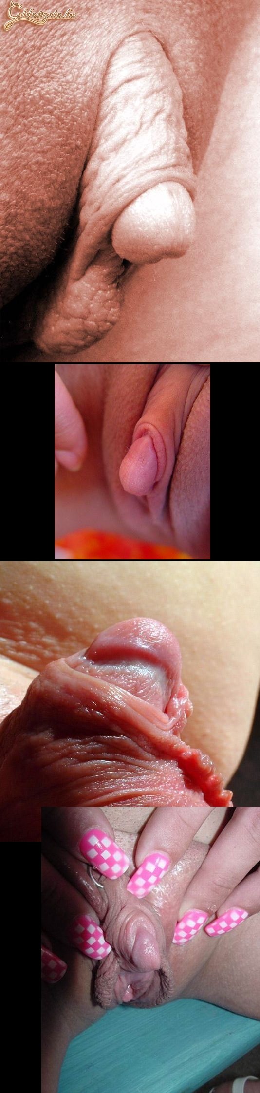 A lepke pina és a farok között félúton