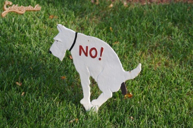 Ez a tábla minden nyelven érthető...