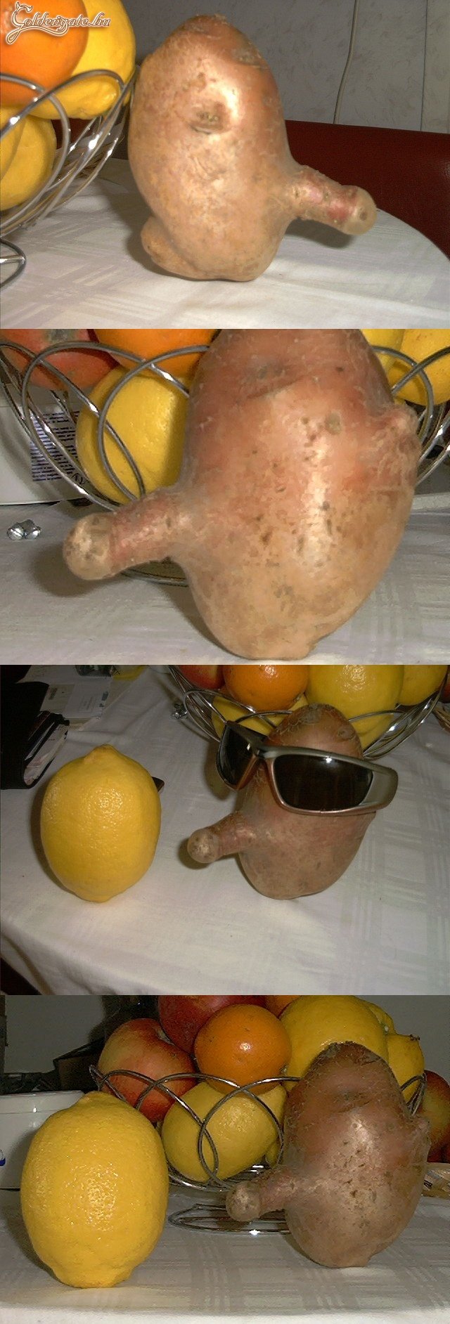 A természet újabb mókája