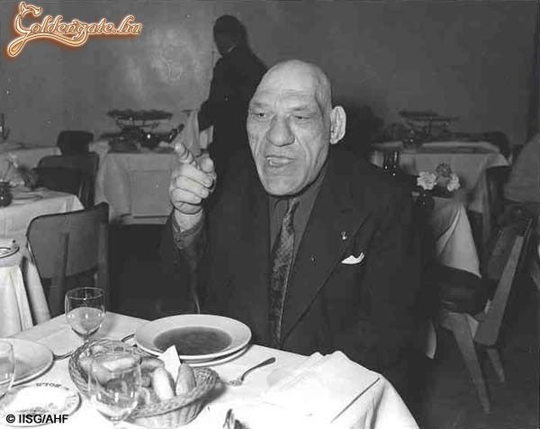 Shrek megöregedett...