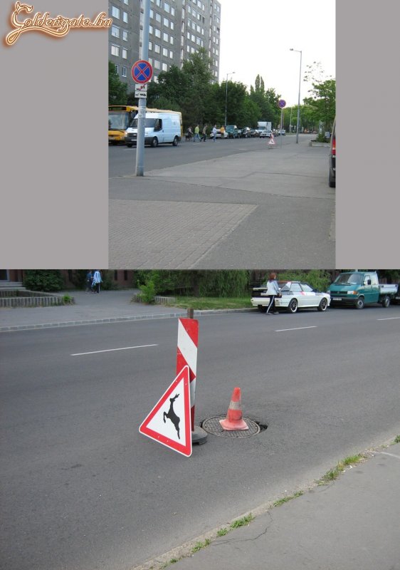 Nem volt raktáron másfajta?