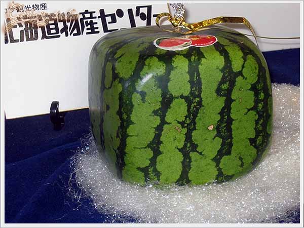 Így nem gurul ki a frigóból...