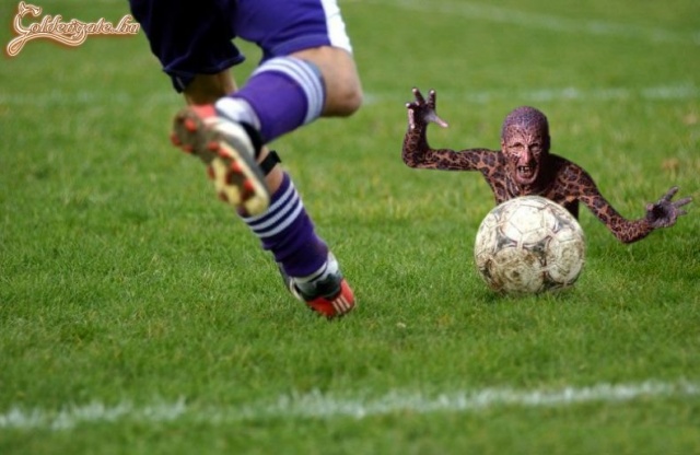 Egyik kedves látogatónk összefésült két kismalac képet. Nem rossz ötlet! :D