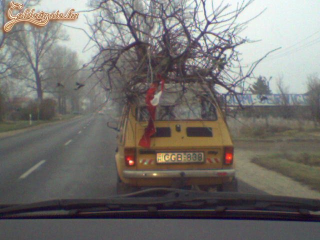 Tüzelőnek viheti?