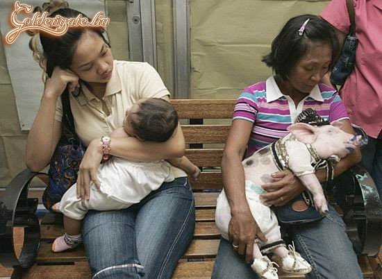 Kicsit túlzás már...