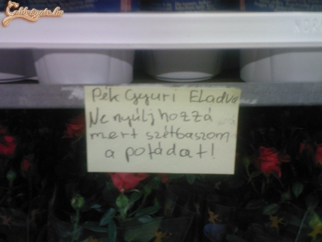 Ez tutira elkelt!