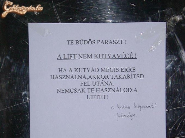 Te paraszt