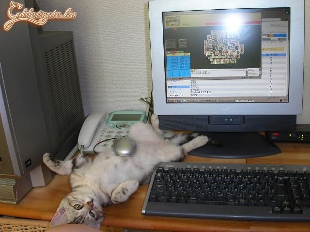 Egérpad