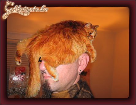 Kalapom, pom-pom