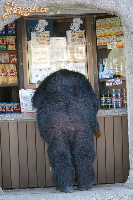 Hová tűnt  büféslány? :)