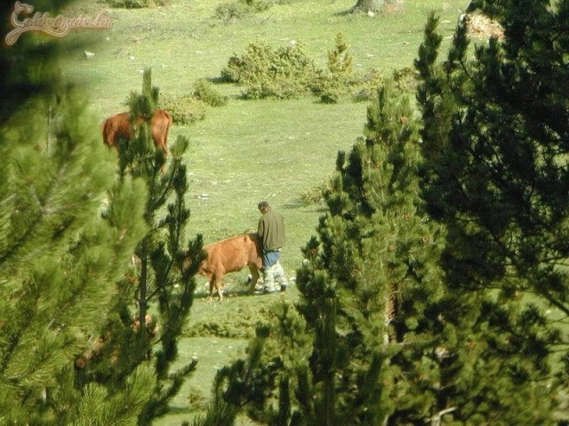 Magányosan, de nem társtalanul!