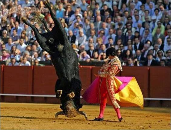 Nem így tervezte...