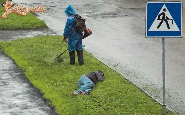 Csak nyugodtan