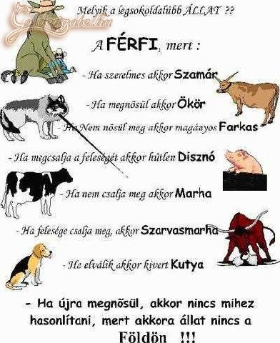 Férfiállat