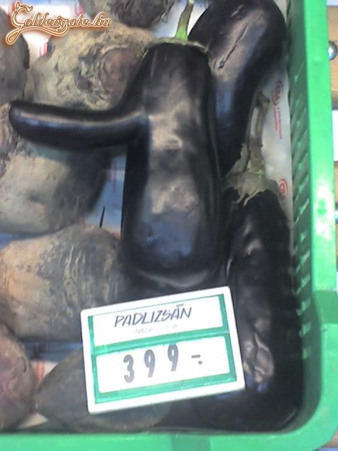 Fütyi-padlizsán