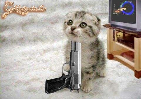 Ne tedd!
