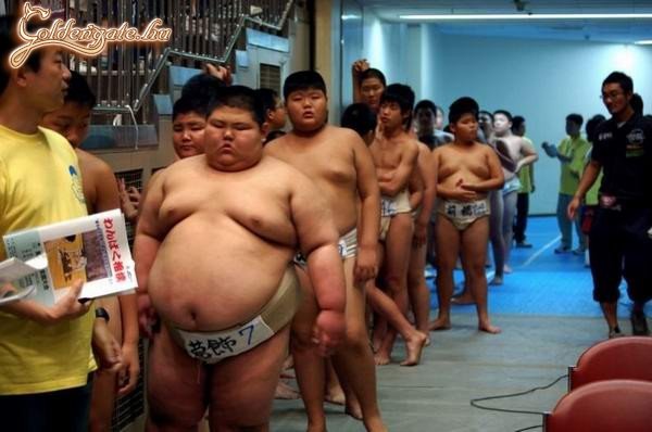 Sumo beiratkozás