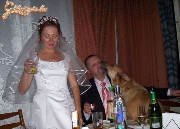 Éljen az ifjú pár!