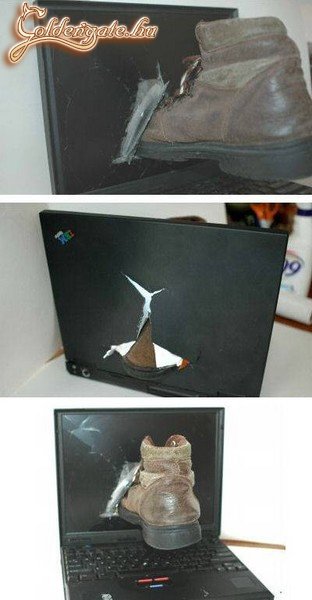 Berághatott a tulajdonos...