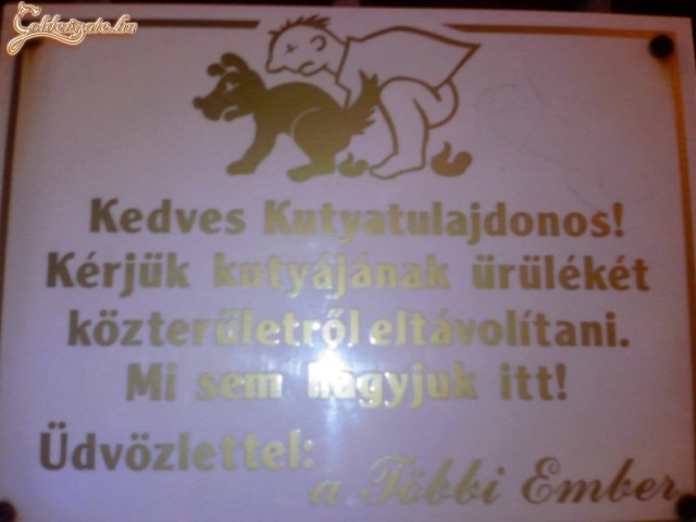 Kedves Kutyatulajdonos!