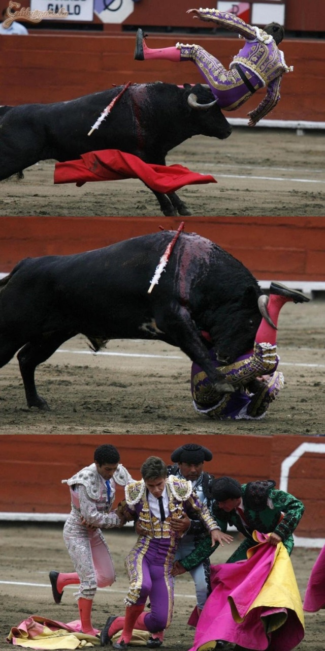 Ez nem jött össze...