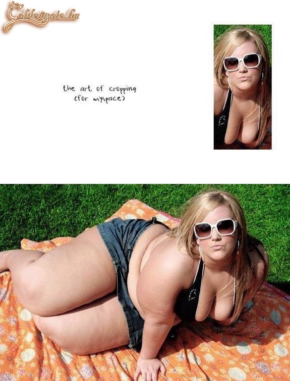 A cropping művészete