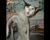 Zuhany :)