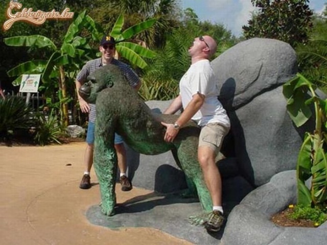 Állatok az állatkertben :)