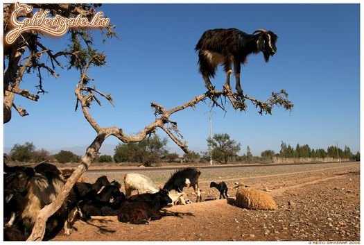 Egyensúlyérzék extra