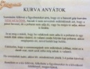 Te is kávé-automata függő vagy?