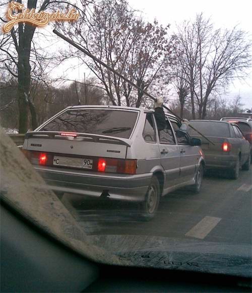 Hát nem fért be a kocsiba...