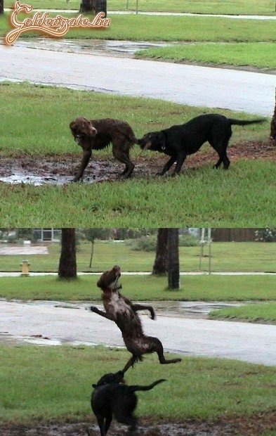 Valószínűleg örült neki...