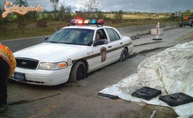 Ez is az eszesebb fajtából való...