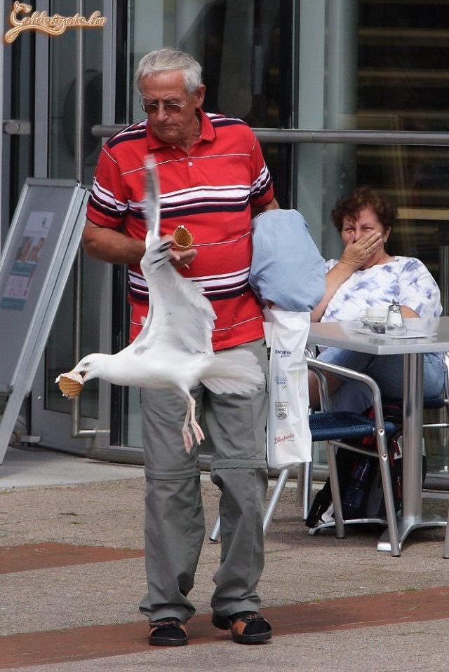 Gyönyörű mozdulat!