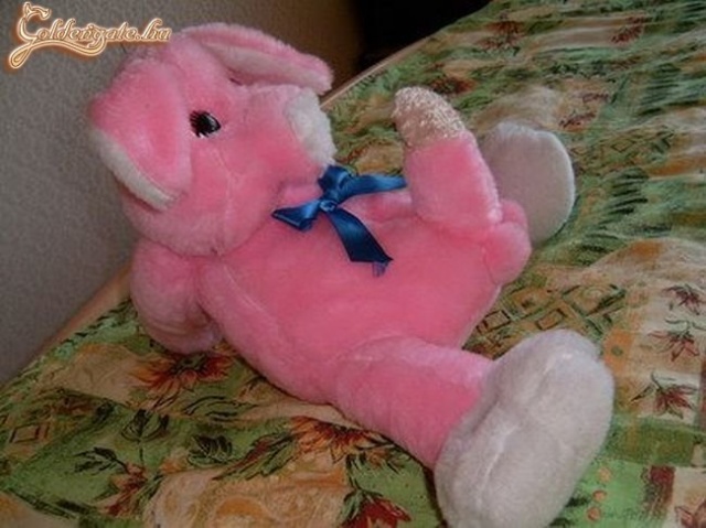 Milyen aranyos állatka! :)