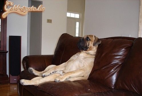 Na, mi lesz ma a TV-ben?