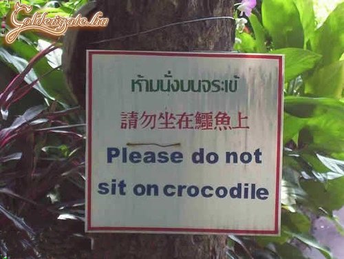 Egyébként még rá is feküdnék, ha nem írják ki...