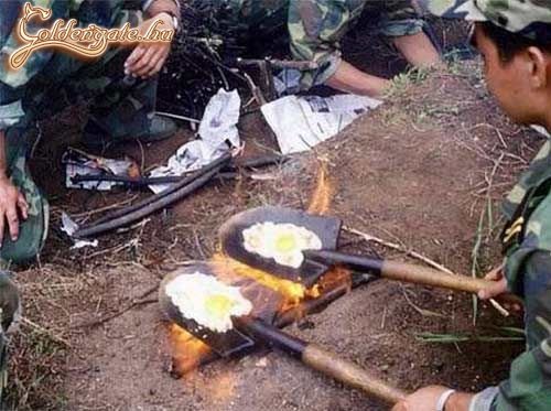 Ha a szükség úgy kívánja...