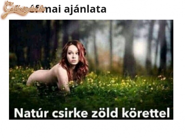 A séf mai ajánlata