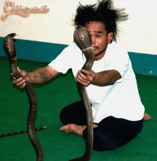 Lehet, hogy egy kicsit beszart