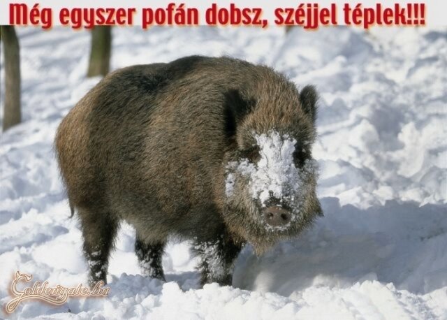 Én nem próbálnám meg... :)