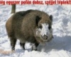 Én nem próbálnám meg... :)