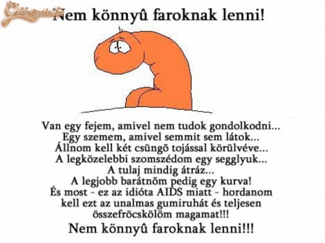 Nem könnyű faroknak lenni...