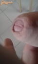 VIBRIS - 6. kép