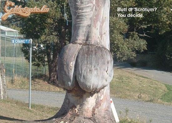 Segg a természetben