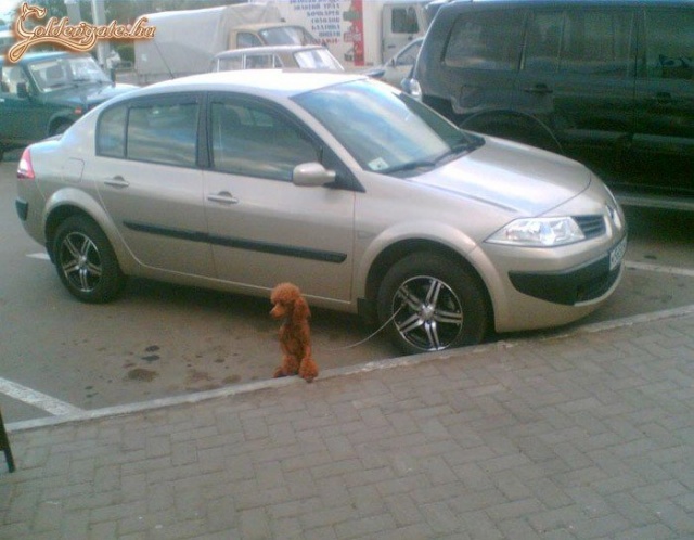 Kerékbilincs ellen praktikus!